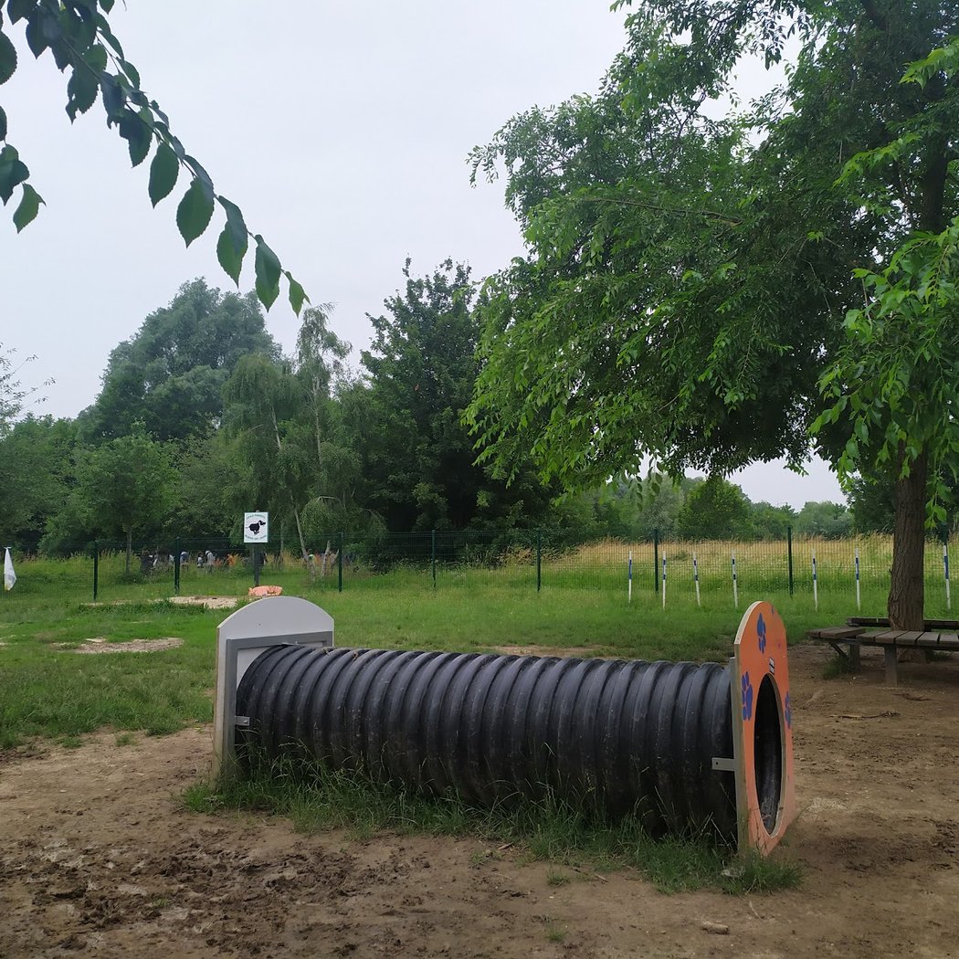 Parc canin 1